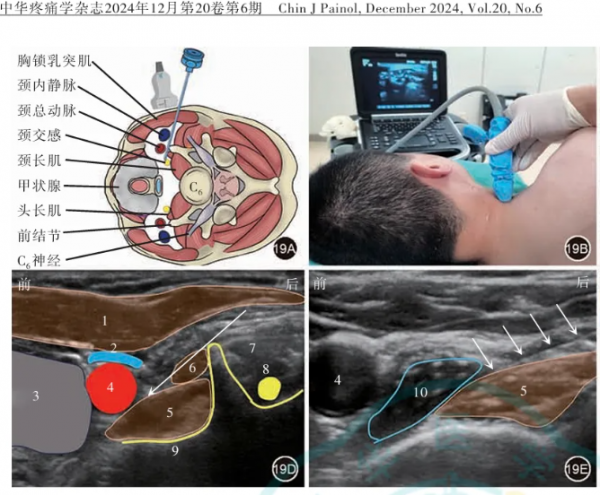 屏幕截圖 2025-08-08 112732.png